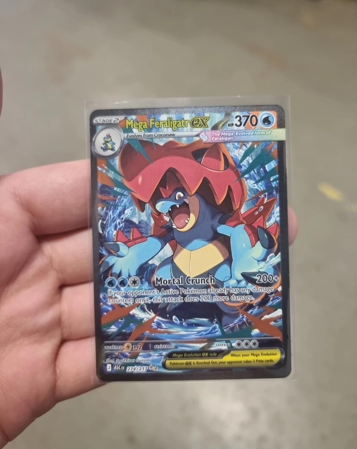 Pokémon Collectibles