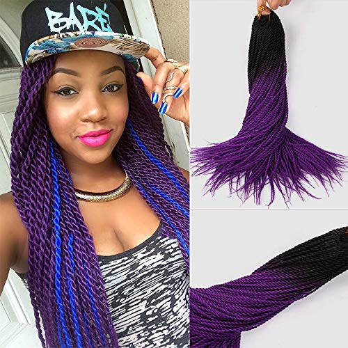 Ombre Two Tone Twist Braids Crochet Hair Colorful Senegalese Twist Crochet Hair 24Inch 20Roots/Pcs 3Packs Thin Senegalese Small Twist Braids Hairstyles (1B/Purple)