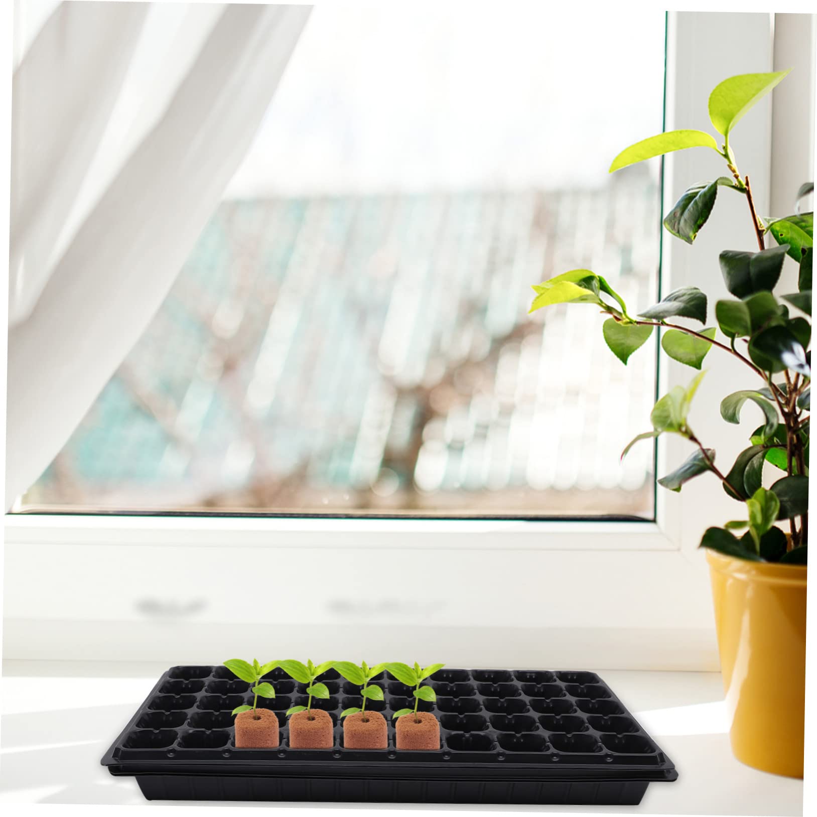 FRCOLOR 400pièces Bloc De Nutriments pour Fertilisation Accessoire De Culture Soilless pour De Plantes Balcon Et Jardin