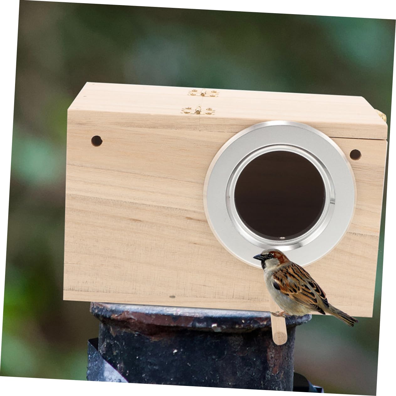Nido in Legno per Pappagalli e Parrocchetti Rifugio per Uccelli da Giardino Accessorio per Calopsitte e Altri Uccelli Domestici Favorisce Riproduzione e Incubazione Facile da