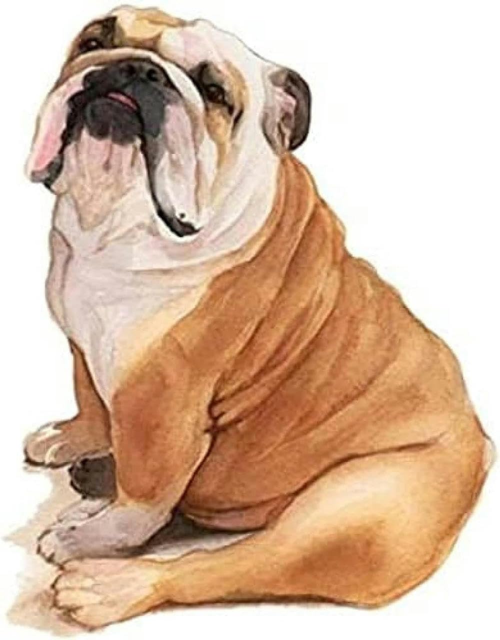 Queen Show Gold Cross Stitch Embroidery Kit Advanced Home Decoration Stamped Cross Stitch Kit English Bulldog Pet Dog Animal 11Ct Adult Embroidery Pattern Printing Diy Popular Advanced Beginner - 40 X 50Cm
