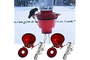 Warm Hummingbird Feeder
