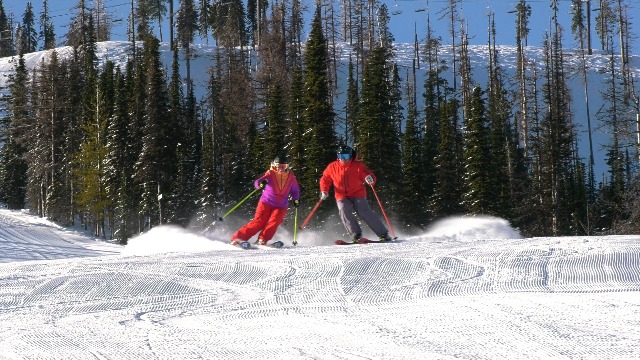 Amazon.com: Zipline Ski