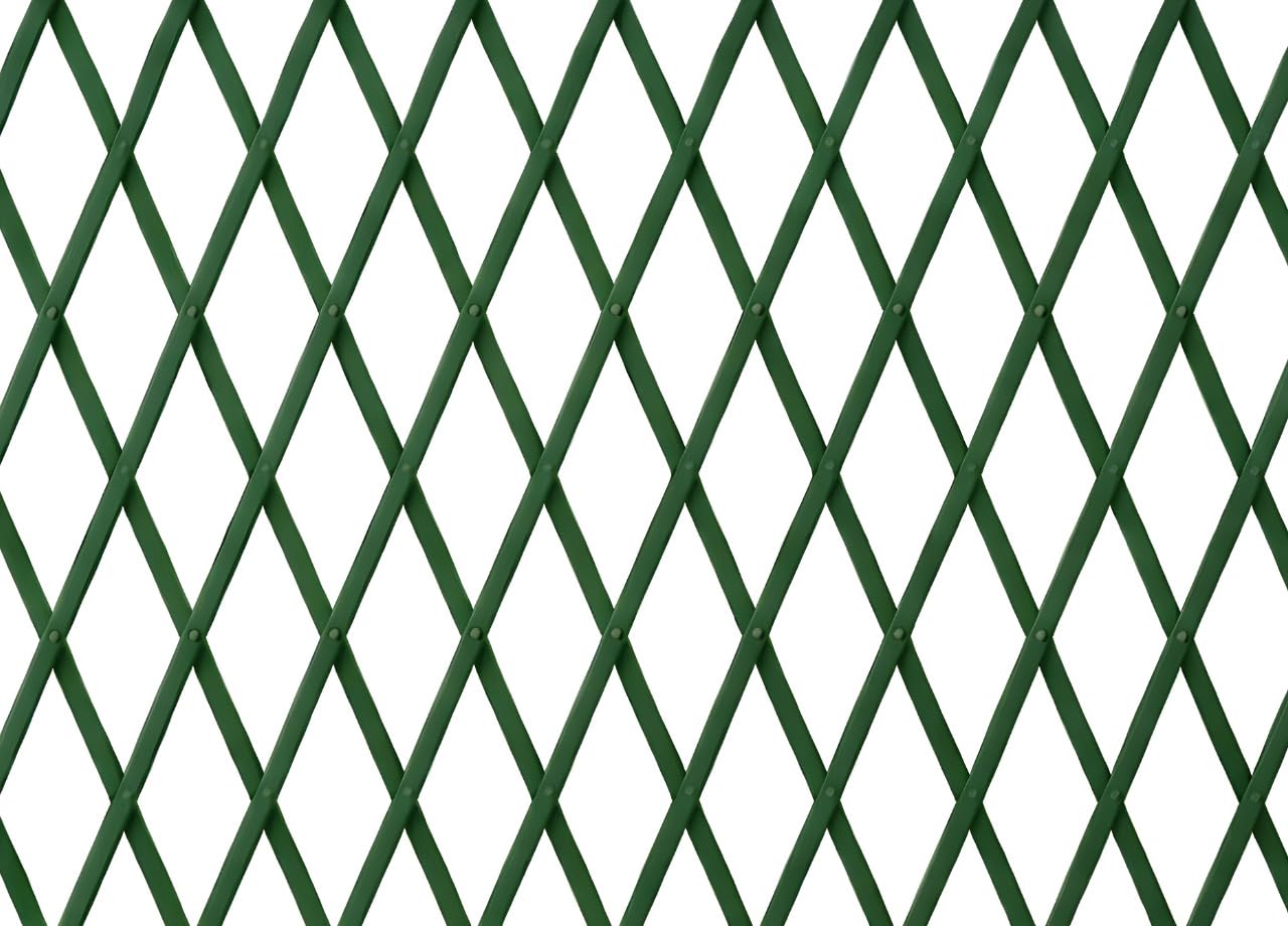 BIANCHERIAWEB Traliccio Estensibile in PVC per Piante Rampicanti Recinzione Giardino Balcone 100x200 Verde