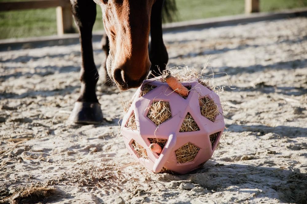 Kentucky - Relax Horse Spiel & Heuball alt rosa Grösse L 40cm