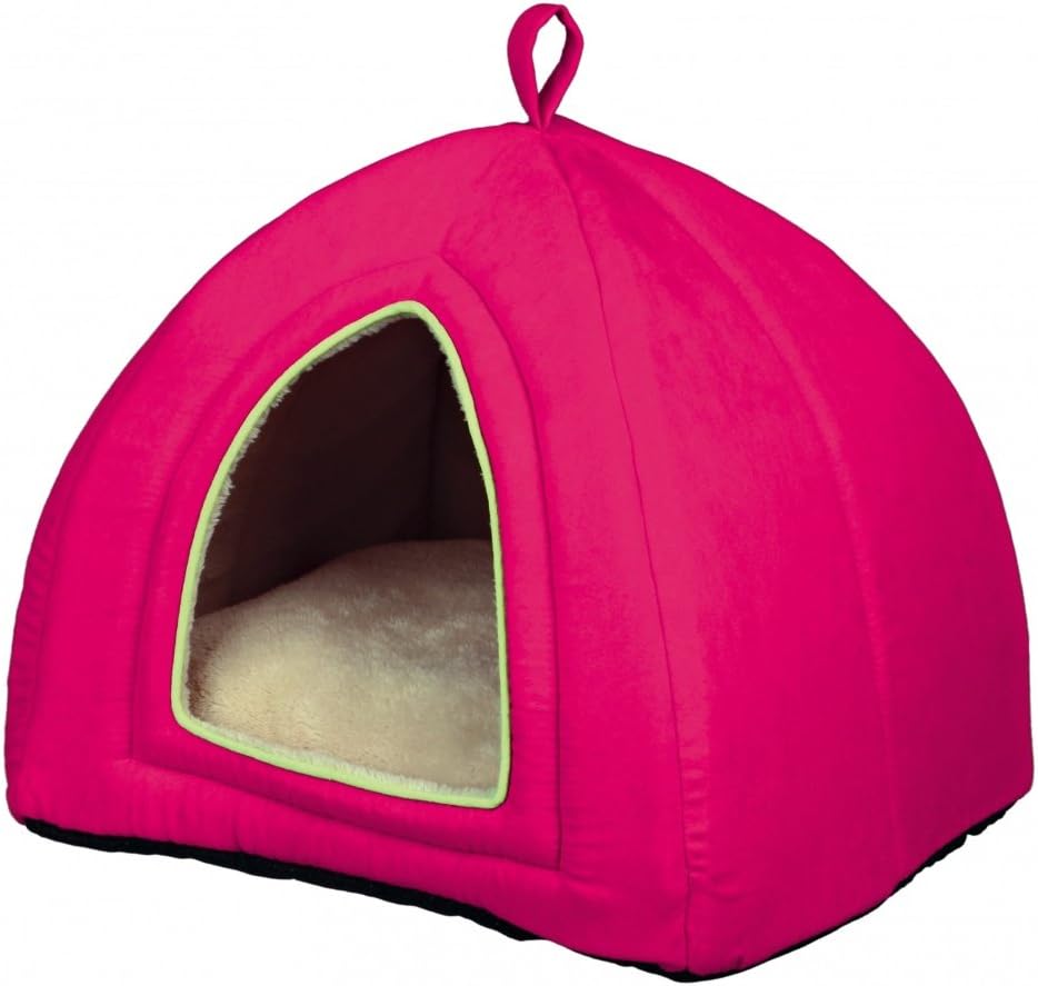 Amazon cat igloo Clearance