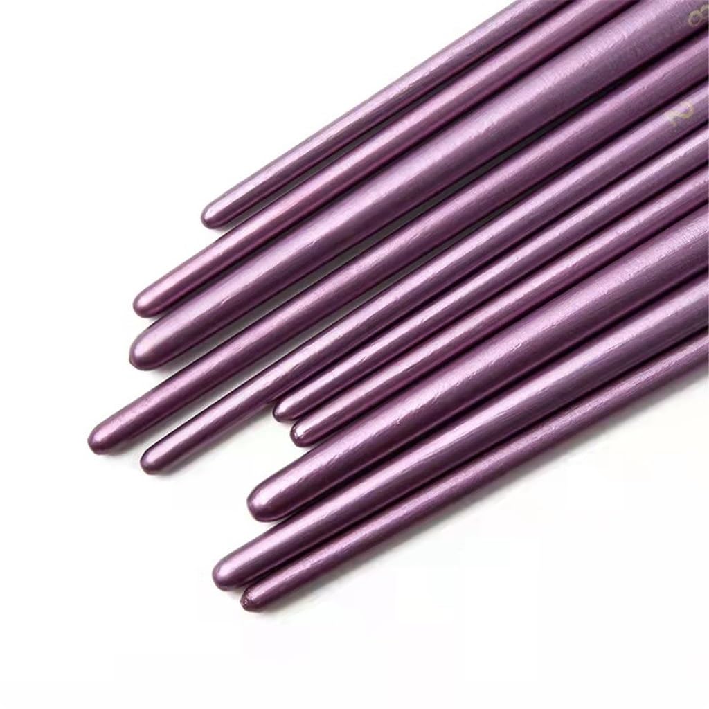 Pennello per Olio, 10 Set di pennelli per Pittura a guazzo, Graffiti, con Punta Piatta e Punta Rotonda, in Lana di Nylon, Asta in Legno, Viola