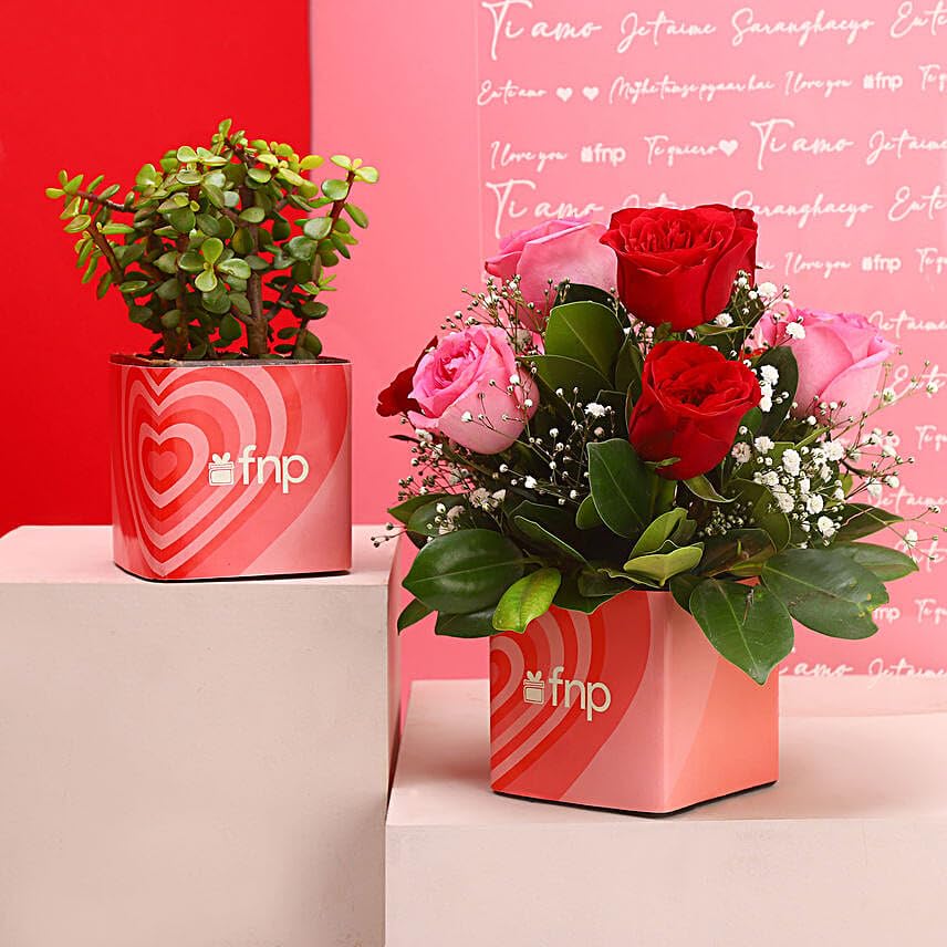 fnp Flowers-N-Plants Special Design for Anniversary | Mother's Day | Valentine's Gift For Dear Ones-picture-40