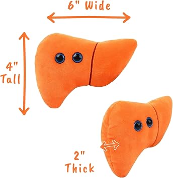 GIANT MICROBES Stuffed Liver Plush, Anatomy Model
