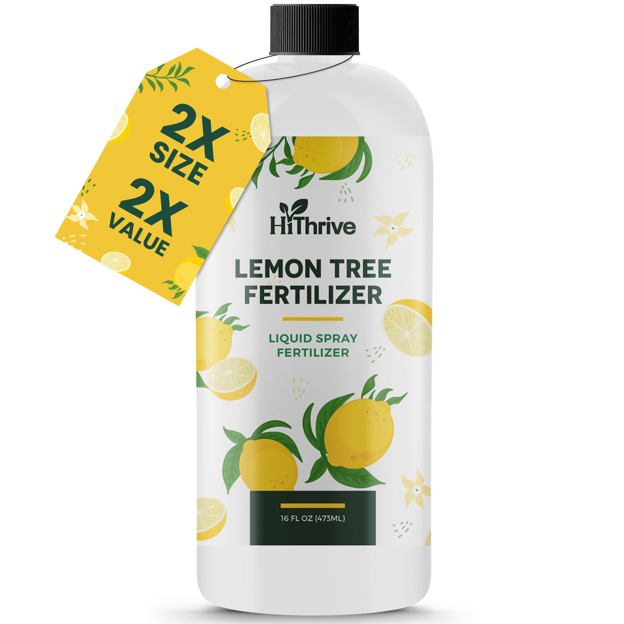 Milk‐tree♡ 🪴 SUCCULENTS ARE HERE 🪴 Bold. Sculptural. Effortless. Meet