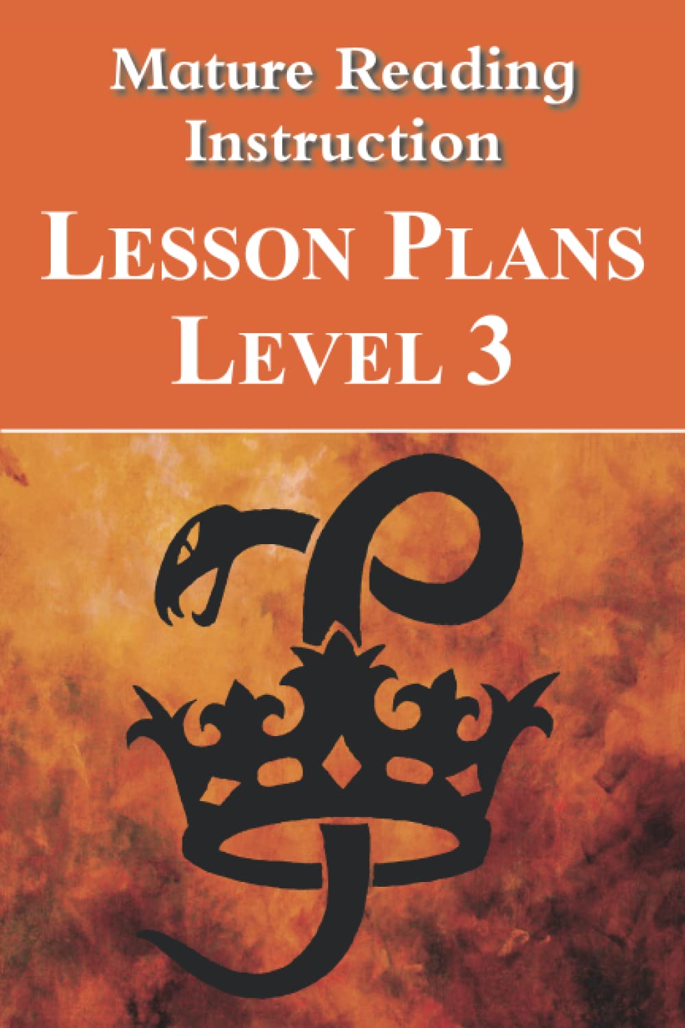 Mature Reading Instruction Lesson Plans Level 3: Research-informed strategies for the classroom