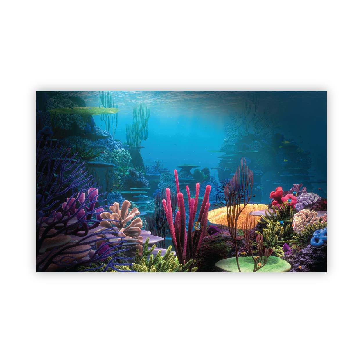 VVWV® Water World Aquirium Background colourfull Stickers for Fish Tank Waterproof Vinyl Printed Sticker (61 x 30 CMS) (B0BW4CV7XZ) Amazon Price History, Amazon Price Tracker