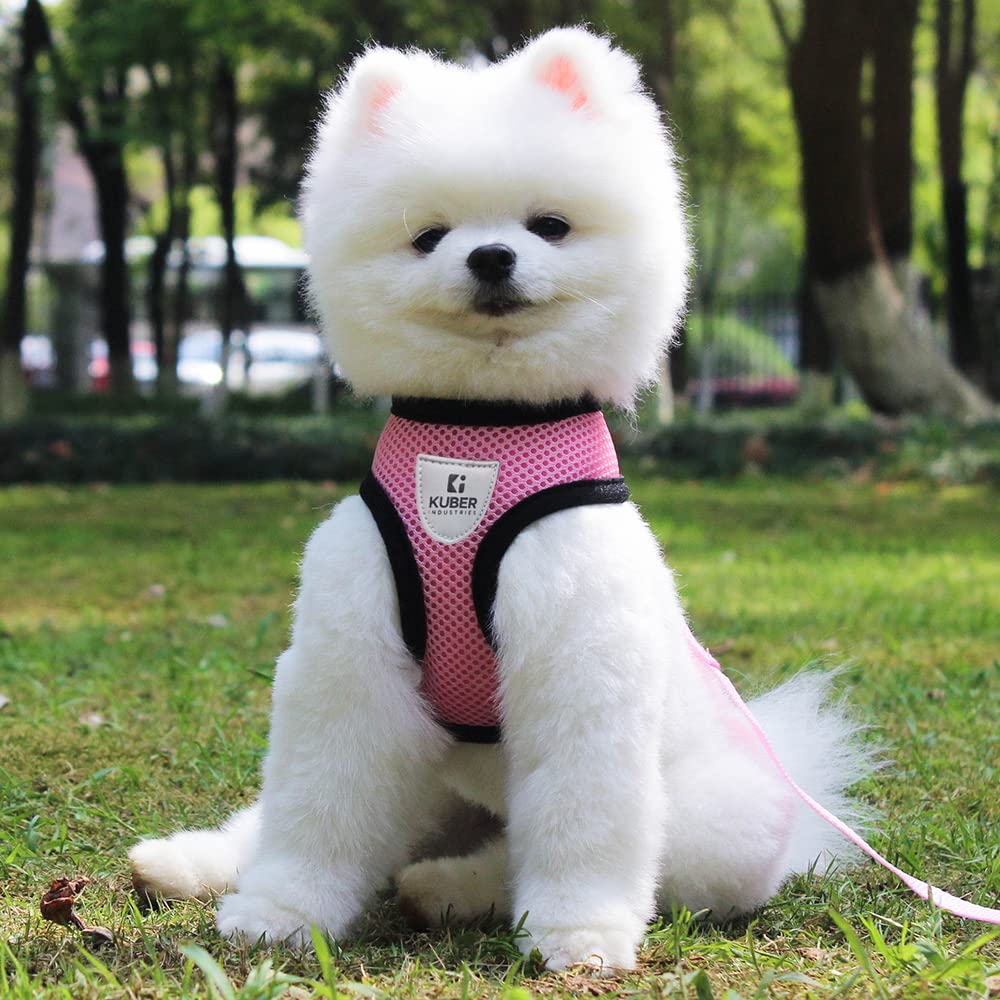Kuber Industries Small Dog/Cat Chest Harness with Nylon Leash I No Pull, Soft Padded and Breathable Pet Vest I Adjustable, Reflective I Easy Control Pet Chest Belt I (XX-Small,Pink) (B0C2ZCW5VG) Amazon Price History, Amazon Price Tracker