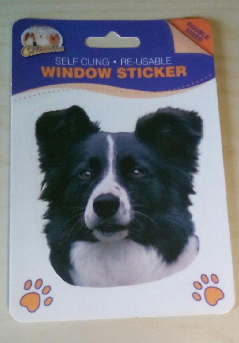 border collie window sticker