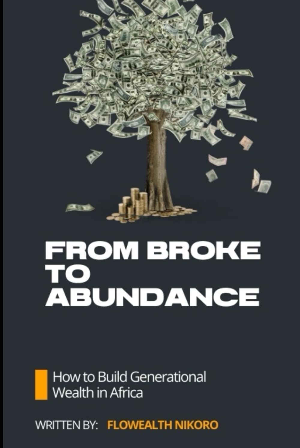 From Broke to Abundance: How to Build Generational Wealth in Africa (The Flowealth Blueprint Series)