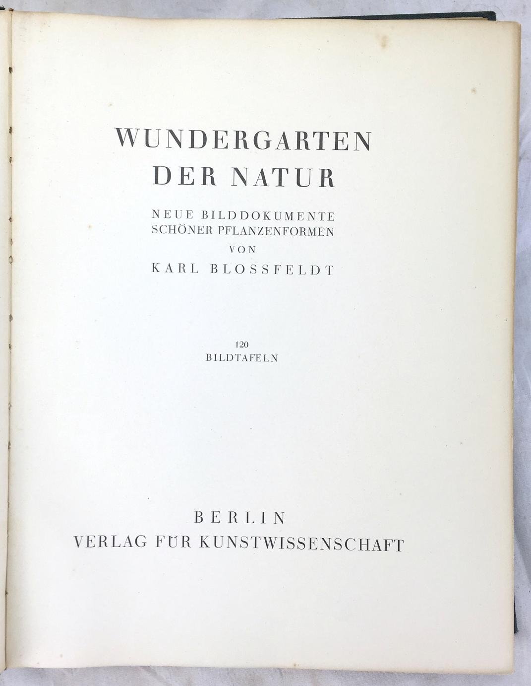 Wundergarten der Natur, neue Bilddokumente schöner Pflanzenformen,