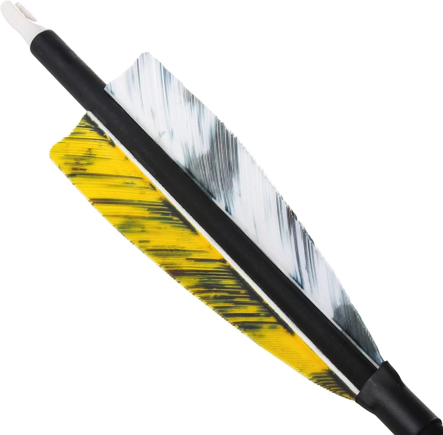 The7boX 31''12pcs Carbon Real Feather Archery Arrows Spine 500 Hunting Arrow with 100 Grain Arrowhead for Recurve Bow and Compound Bow Target Practice… : Everything Else