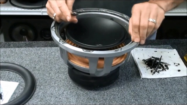 Amazon.com: JL Audio 12