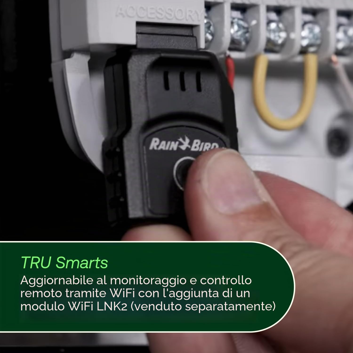 Rain Bird TRU6I Regolatore/Timer per Irrigazione Interna Basato su Programma, Modulo WiFi Ready, 6 Zone/Stazione