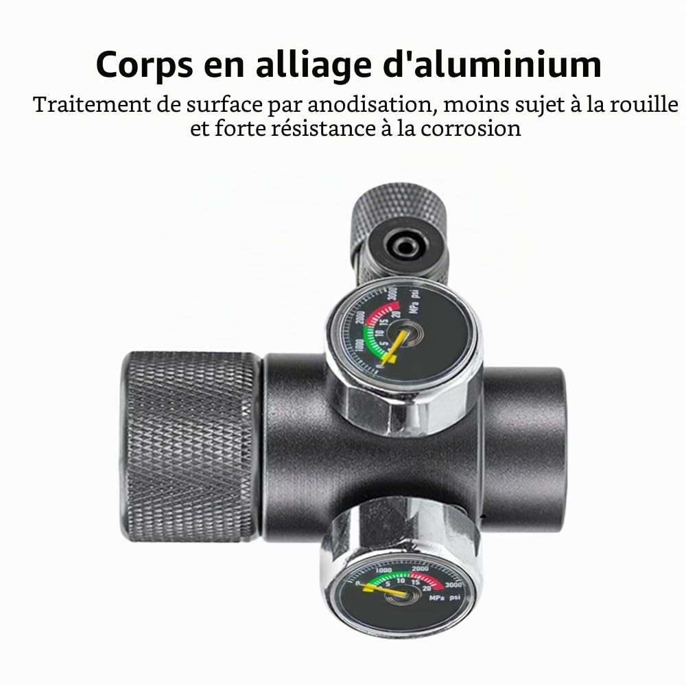 Régulateur de CO2 D'aquarium,Manomètre de CO2 pour Réservoir de Poisson Simple/Double,Pression Réglable pour Système de CO2 de Plantes Aquatiques
