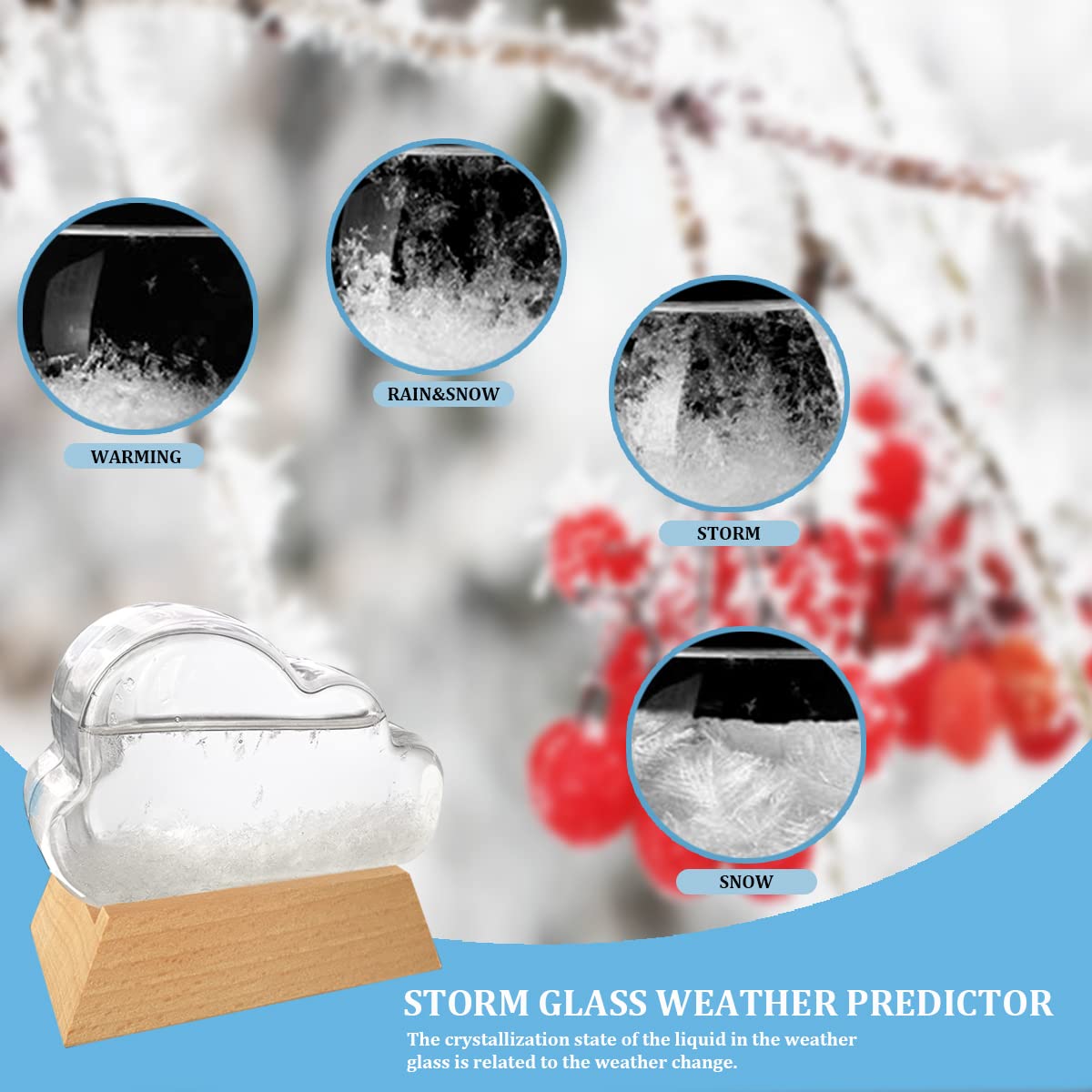 Cheriky Storm Glass Weather Predictor-Creative Forecast Nordic Style  Decorative Weather Glass on Home & Office