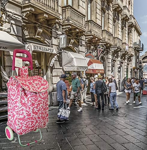 Großer Einkaufswagen. Moderner und farbenfroher Zug-/Schubwagen. Leicht und robust. Zusammenklappbar, faltbar und… – Bild 7