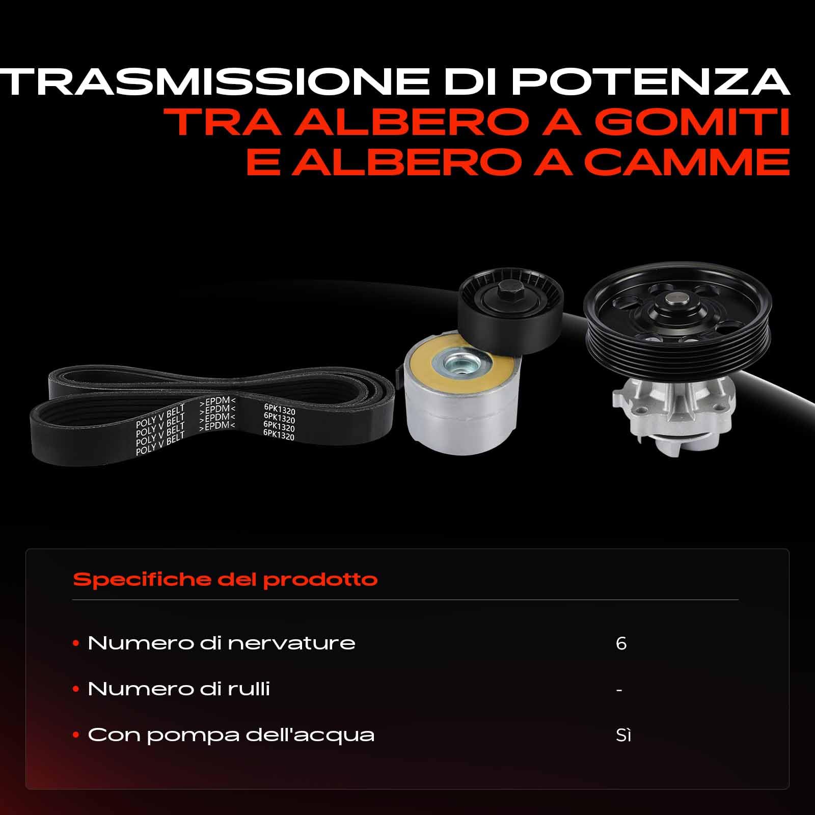 Frankberg Kit cinghia di distribuzione | Compatibile con: Punto Box/Hatchback 199, Linea 110 323, Tipo Saloon 356 357, Punto Evo 199, Grande Punto 199, Qubo 225