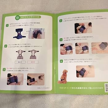 うんコロキャッチ　Mサイズ 3枚セット 商品詳細｜FrienDoggy（フレンドギー）公式オンラインストア