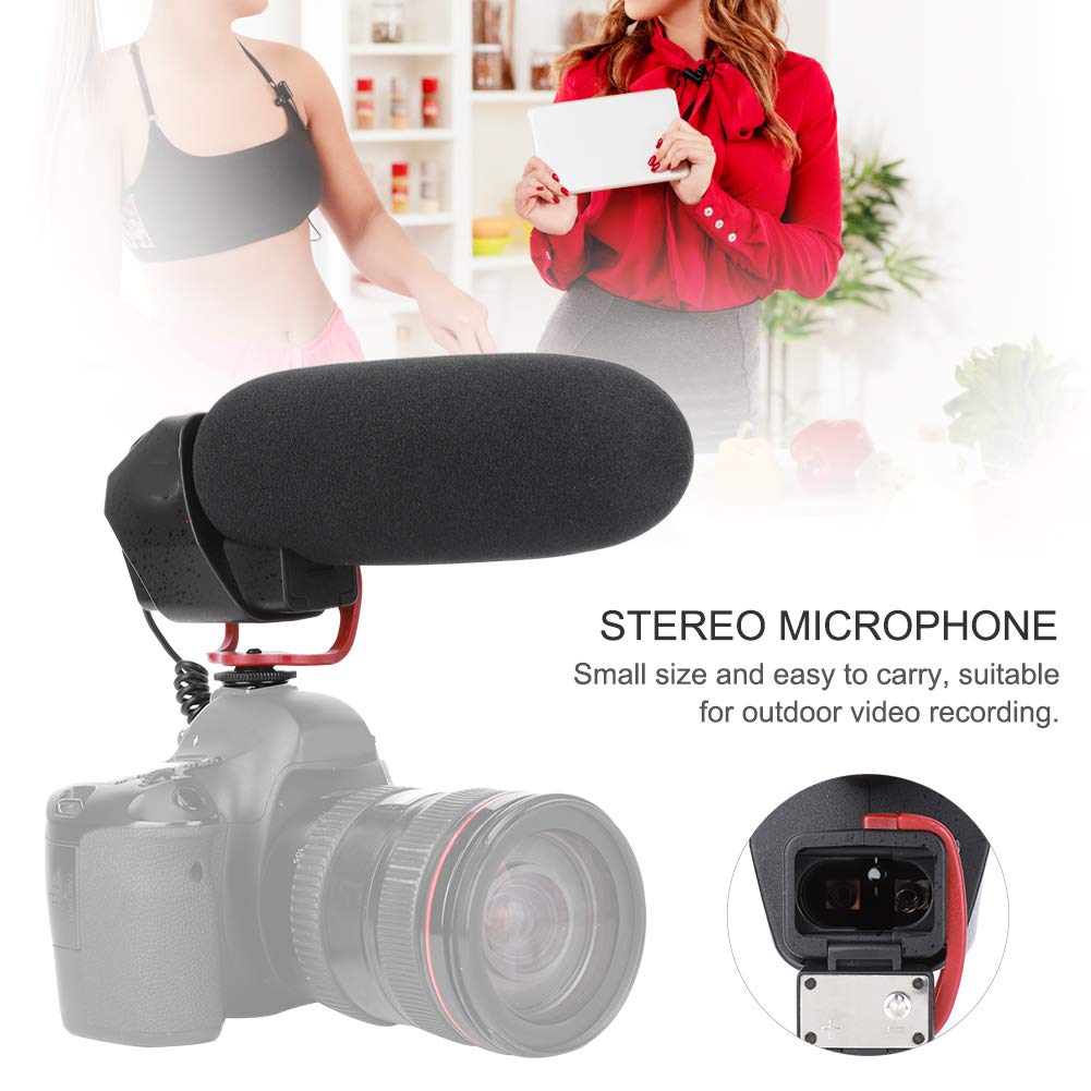 Qiilu Microfono per videocamera LYM-DM200, microfono per videocamera vocale con microfono da 3,5 mm per interviste