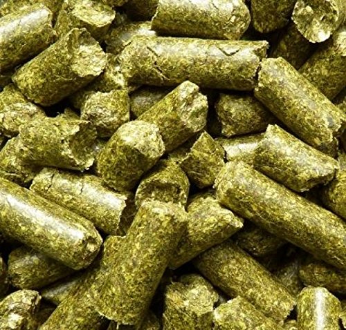 ESPARSETTE-Cobs, getreidefreies Basisfutter für jedes Pferd, 20 kg