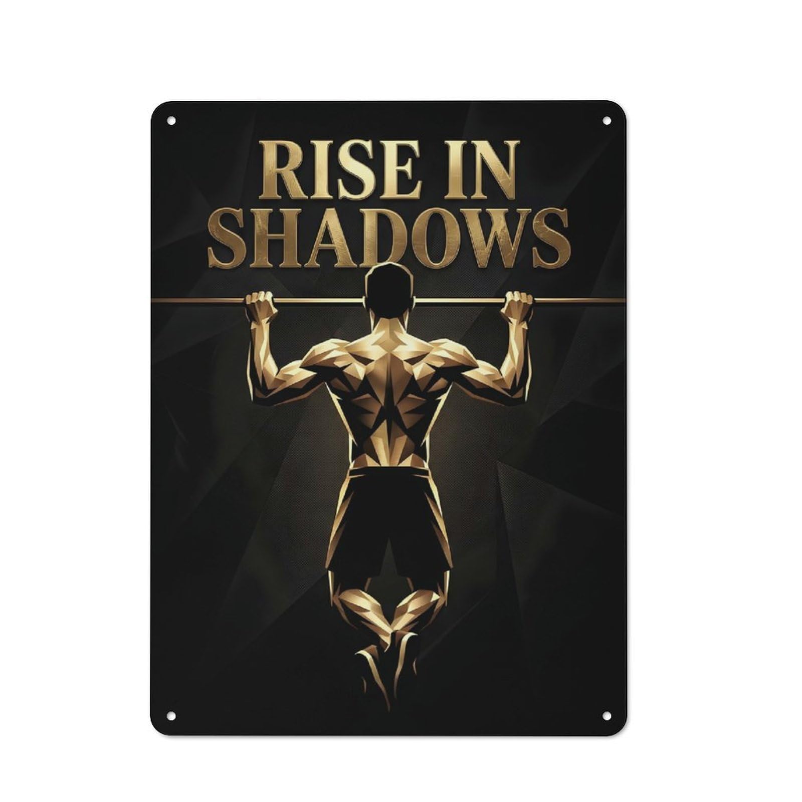 Junmoney Style-2 Tin Wall Plaque 40X30cm With Rise In Shadows Fitness For Hallway Wall, A Decorative Metal Sign For Hallways And Entrance Areas
