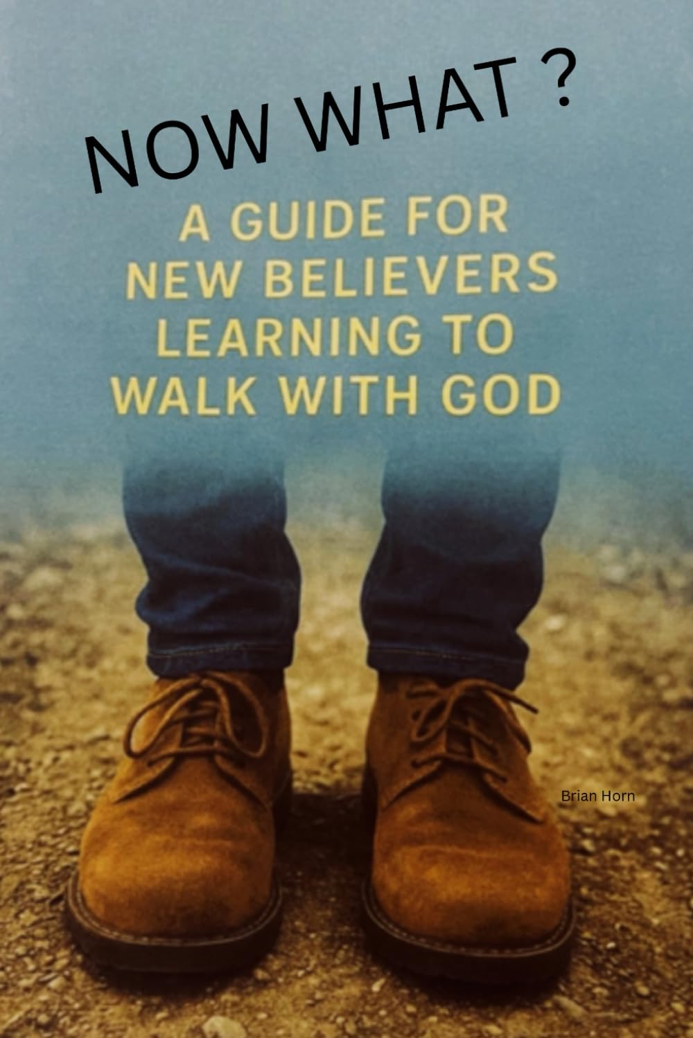 Now What?: A Guide For New Believers Learning To Walk With God