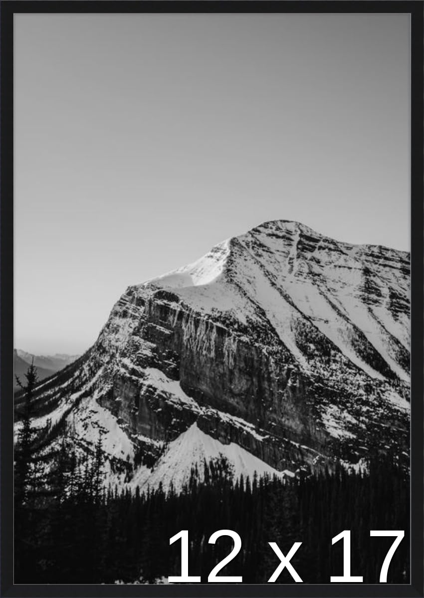 Frame It Easy 12 1/4 x 17 1/4 Satin Black Metal Frame (Ashford) 12.25x17.25 inches