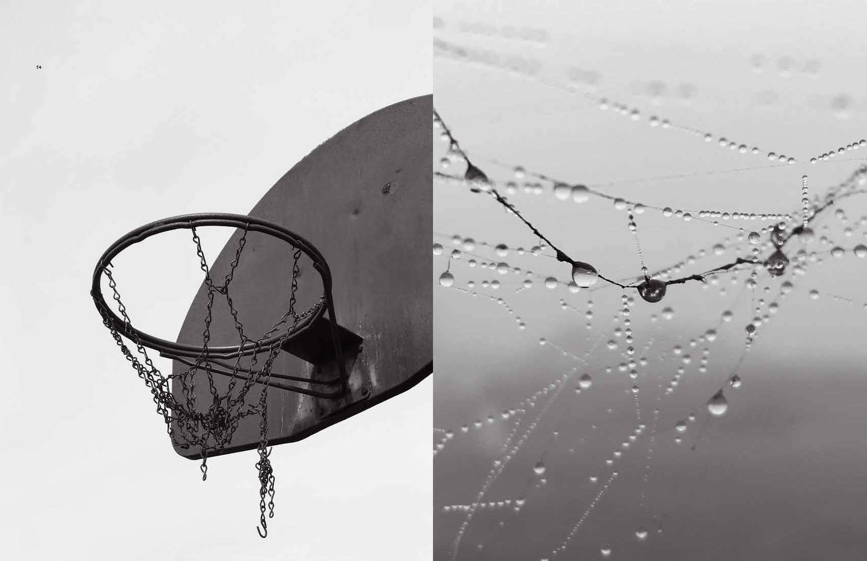 Misophonia: The Art of Jesse Draxler