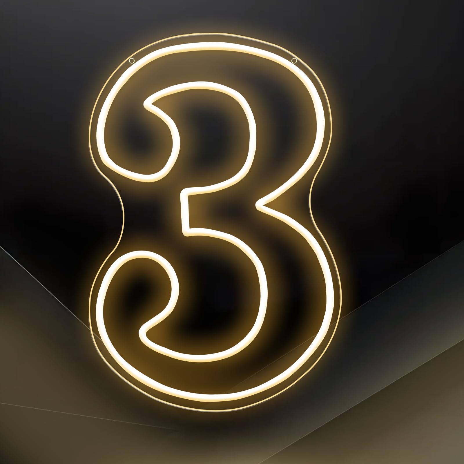 Numero 3 Segno Luminoso LED Neon Sfondo 42 cm Decorazione Festa di Compleanno Bianco Caldo Numero Uno Segno Luminoso Numero Grande Segno Luminoso per Festa di Compleanno Notte Festa