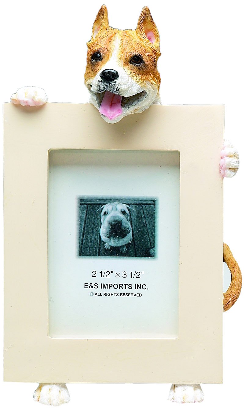 Pit Bull, Tan and White Picture Frame Holds Your Favorite 2.