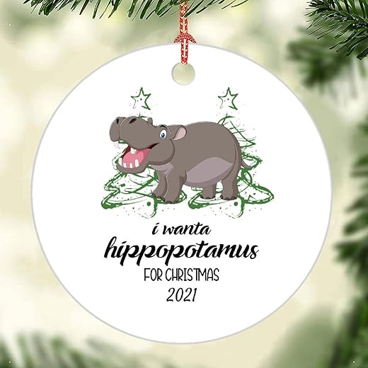 FoDuoDuo 2021 Personalized Tree Ornament I Want A Hippopotamus for Christmas Funny Gift for Her House Family Kids Hippo Ornament Porcelain Ceramic, q9bfbgoc5r96, Style 1, 3in