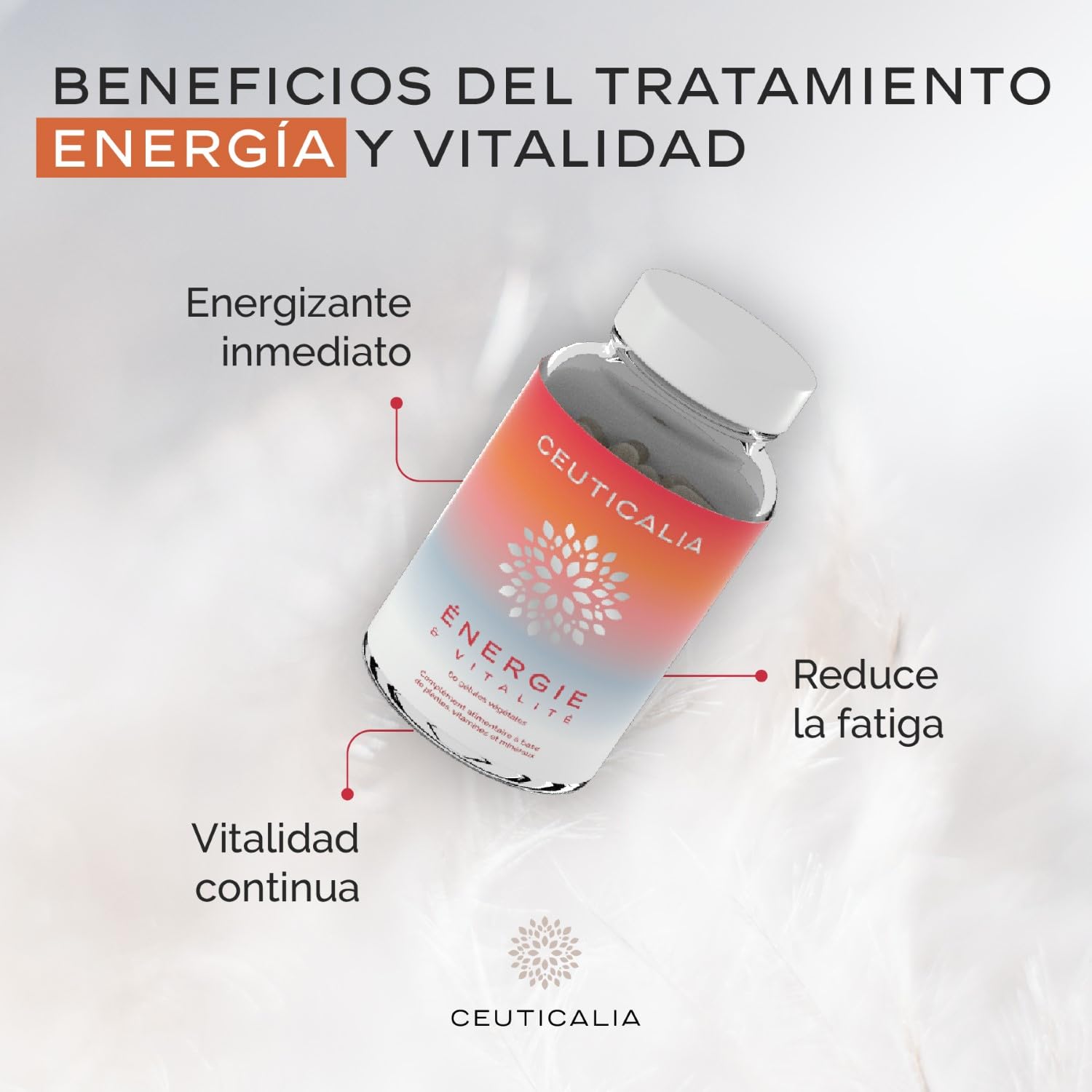 Complemento Alimenticio Energía y Vitalidad - Anti Cansancio y Agotamiento - Para Mujer y Hombre - Ginseng, Guaraná, Yerba Mate, Acerola, Magnesio, Vitaminas D y B - 180 Cápsulas, 90 Días
