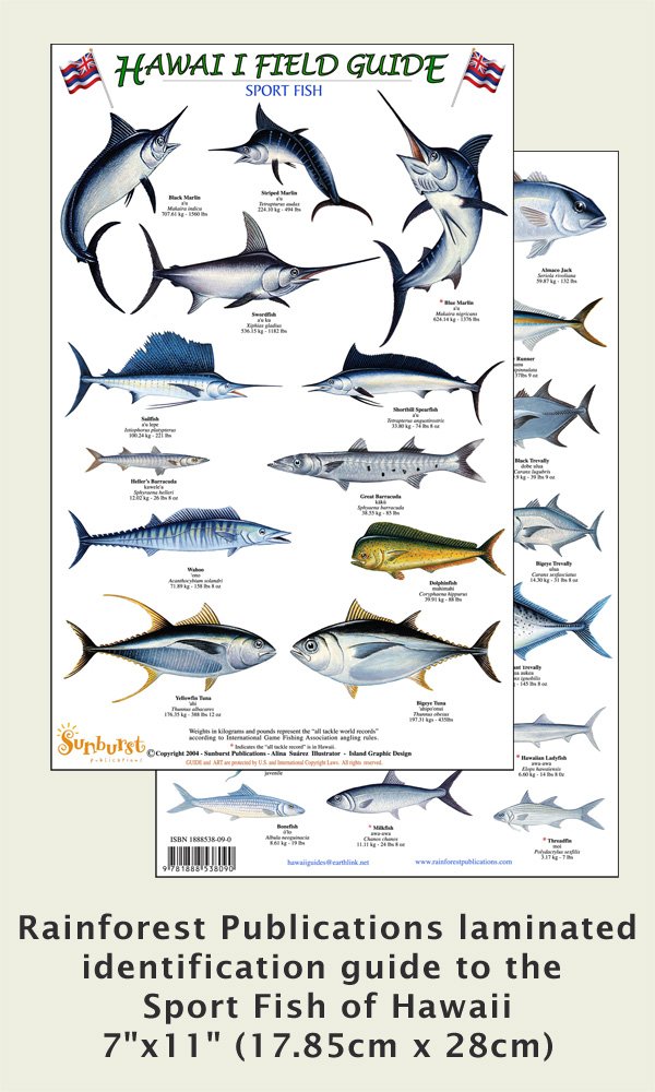 Hawaii Sport Fish Identification Guide (Laminated Single Sheet Field Guide)