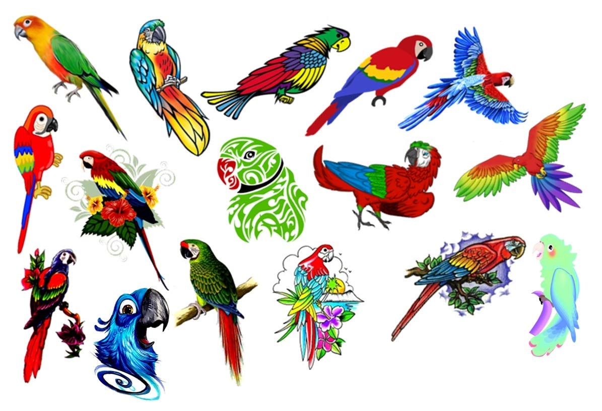 Kaz Creations Parrot Temporary Tattoo Parrot Collection (Parrot Temporary Tattoo)