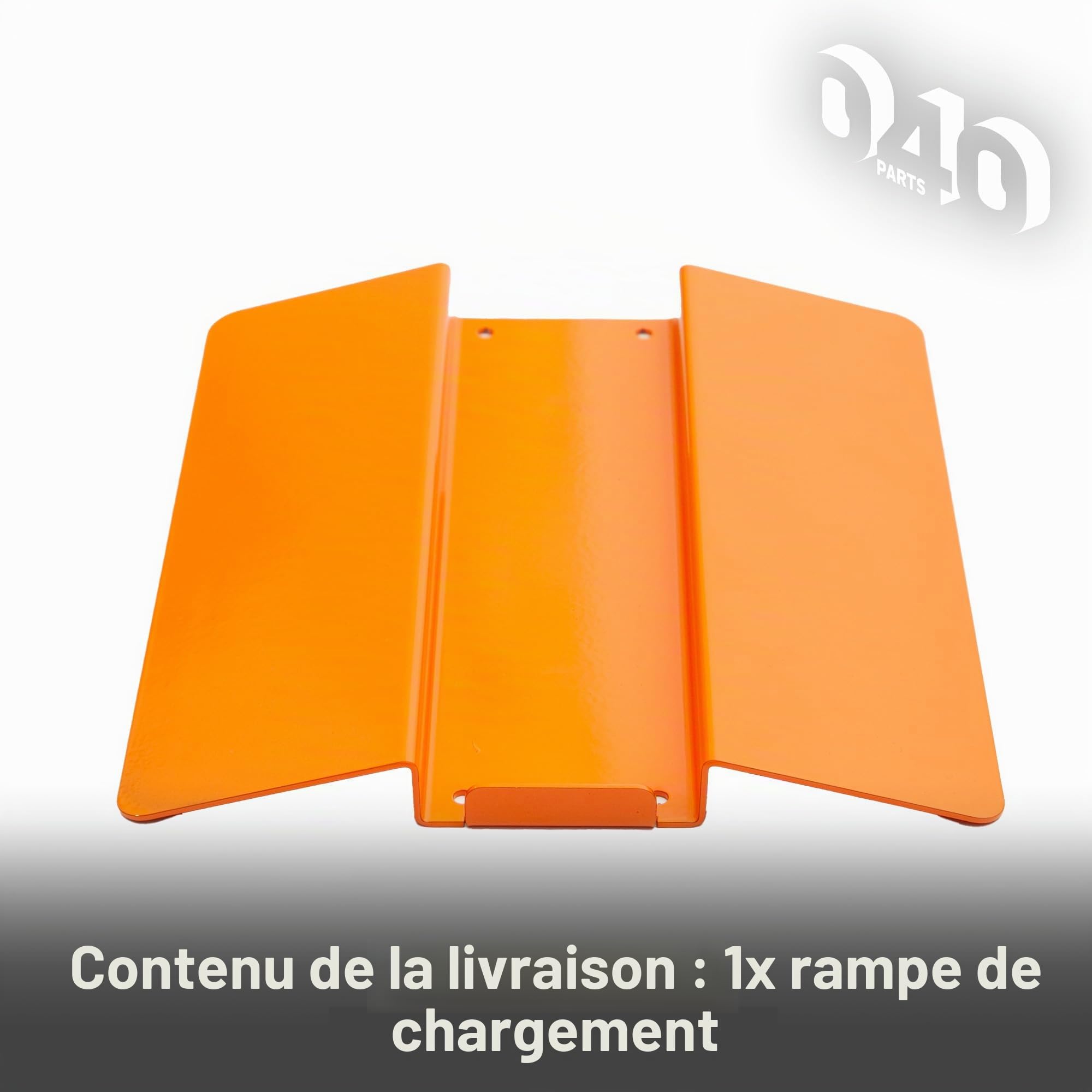 Rampe d'accès pour balance Reich CWC pour des mesures sûres et précises quelle que soit la surface