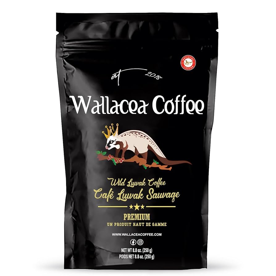 ジャコウネココーヒー500g Musang Coffee Kape Umali Amazon.com : Wallacea Coffee Certified Wild Kopi Luwak