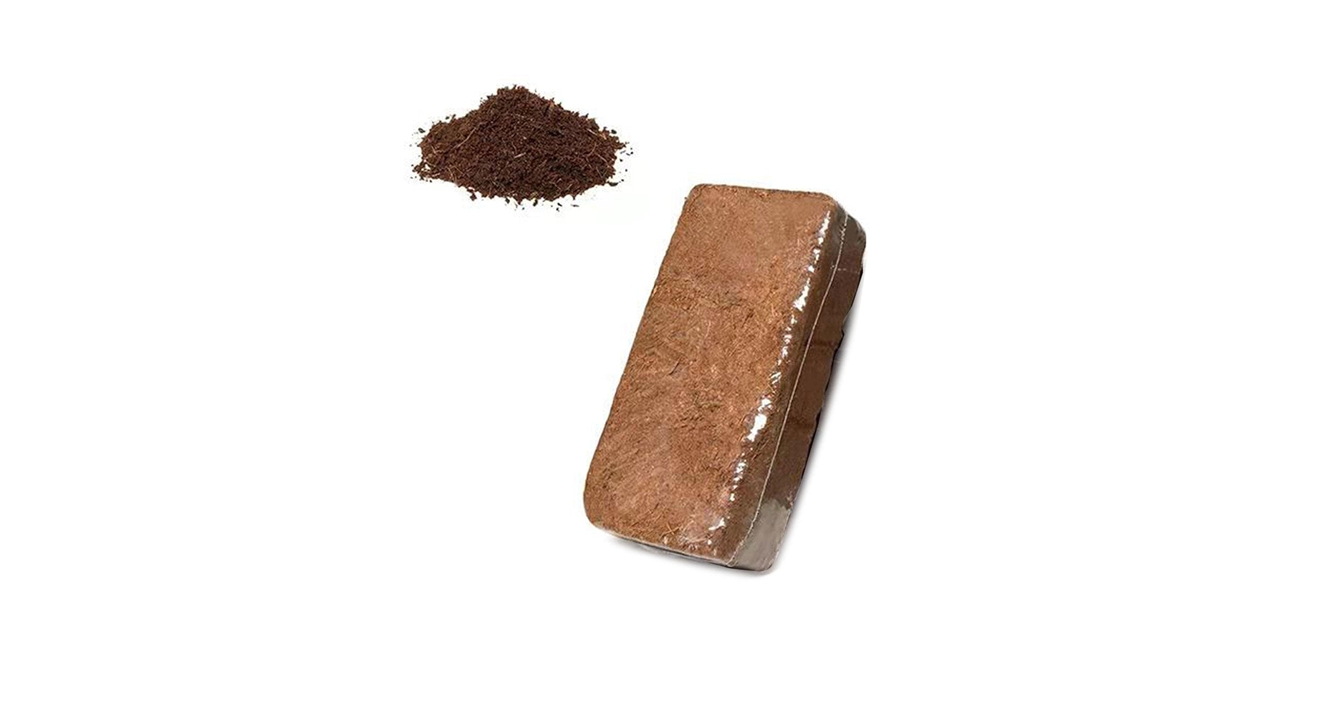 ココスヤシ　(314) 61JWpx3PfNL.jpg_BO30,255,255,