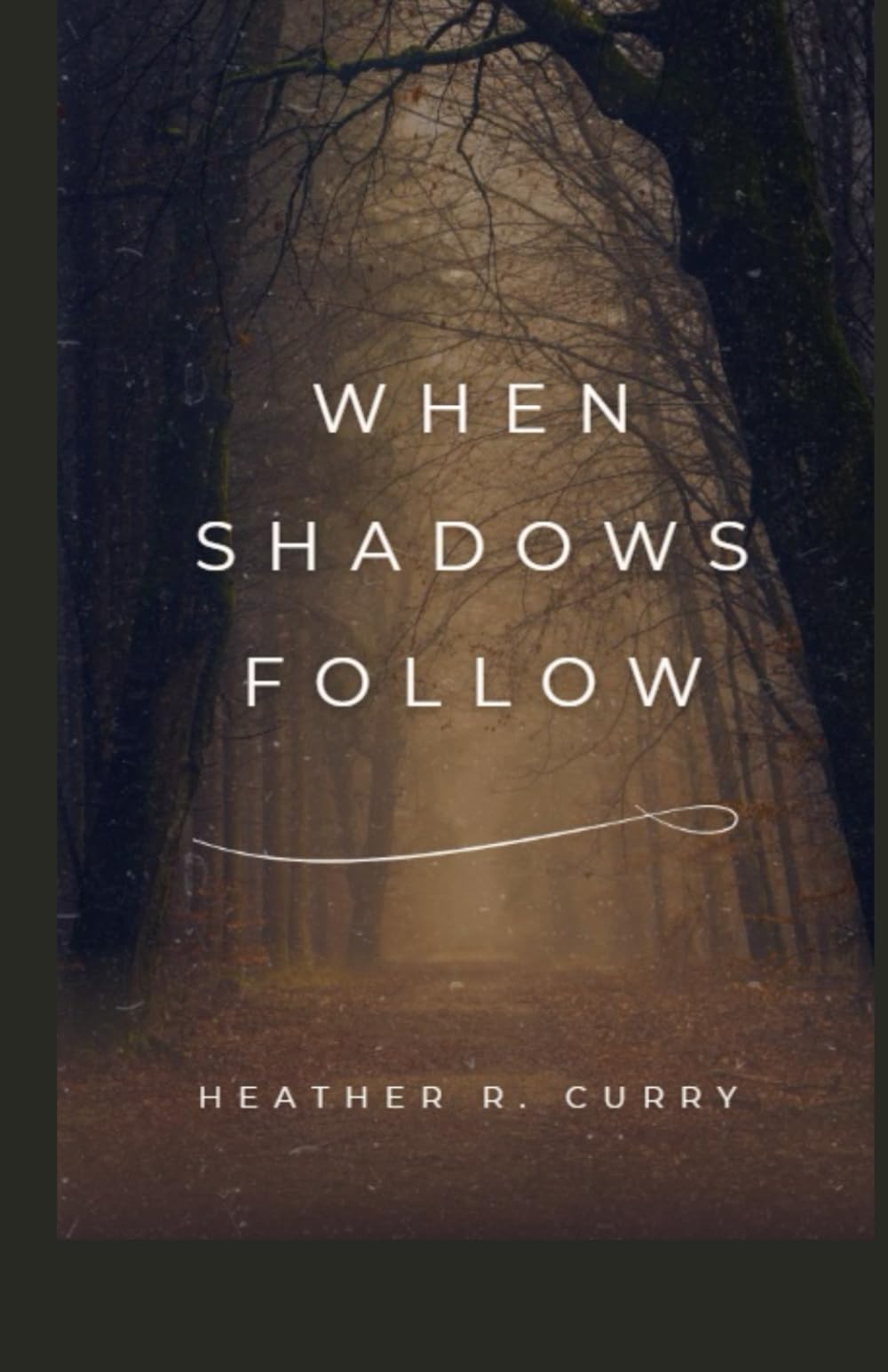 When Shadows Follow (The Buried Truth)