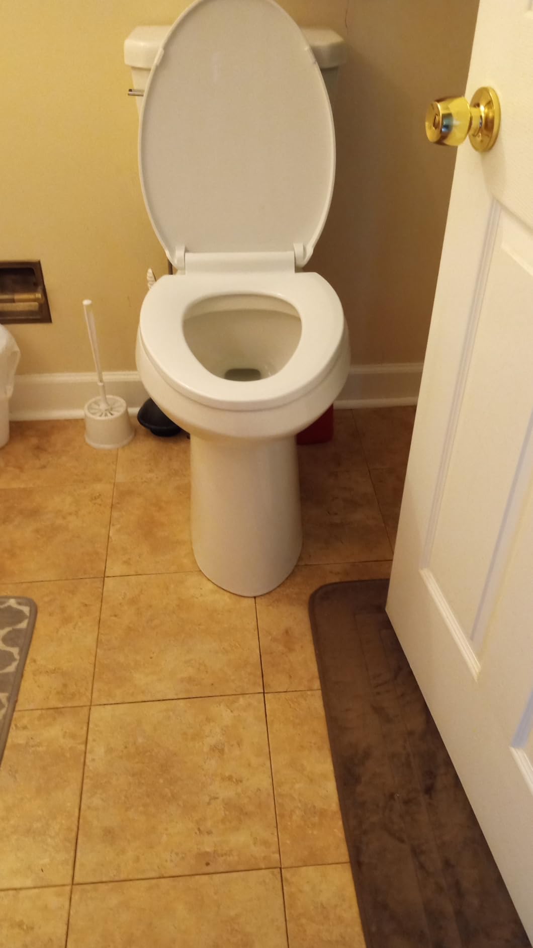 Simple Project 21 Inch High Toilet in white bathroom
