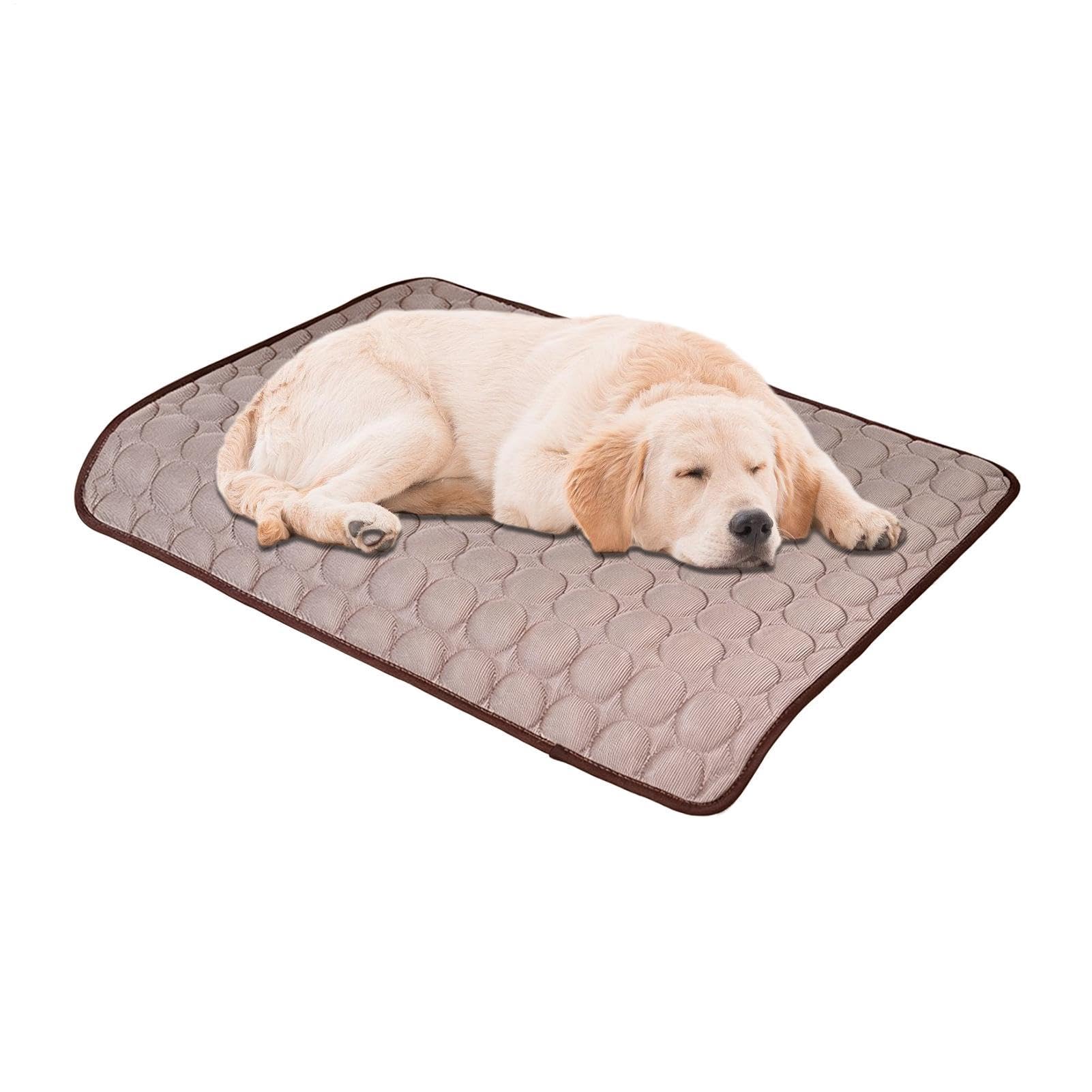 Tapis rafraîchissant pour chien contre la chaleur tapis de repos 100x75