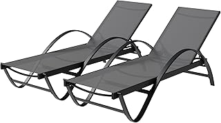 Shintenchi Patio Chaise Lounge Set (2-Pack, Dark Grey)