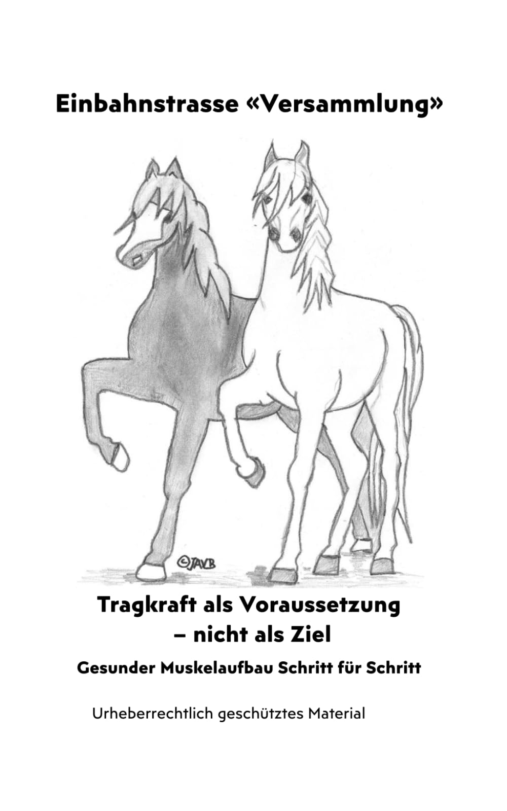 Einbahnstrasse «Versammlung»: Für jedes Pferd, für jedes Pony! Für jede Rasse! Für jedes Alter! (Pferde & Ponys - Gesundheit verstehen: chronische Krankheiten, Zyklus, Tragfähigkeit & Muskelarbeit)