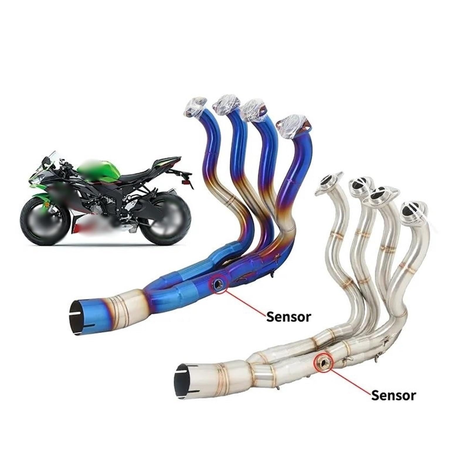 はな TH34861-FE76563_20251127R01.jpg