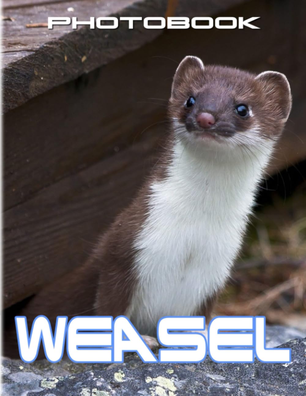 Weasel Photobook: Photographs Of Adorable Animals For Everyone To Relax And Decor Rooms | The Perfect Gifts For Animals Lovers | Gag Gifts | White Elephants Gifts